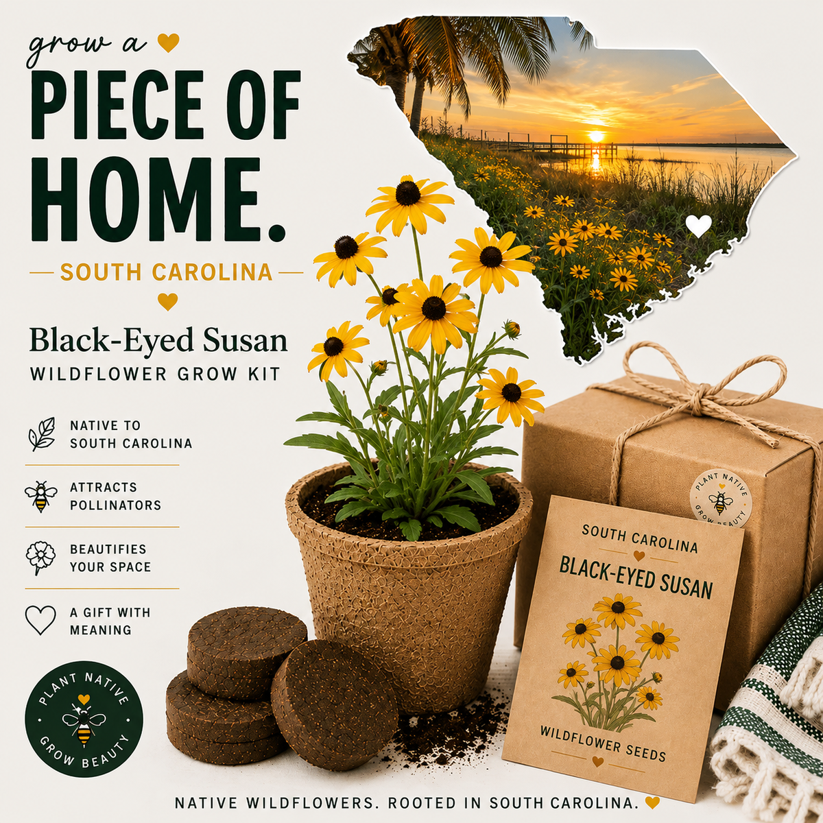 South Carolina Black-Eyed Susan Grow Kit - Michaela's Outdoors