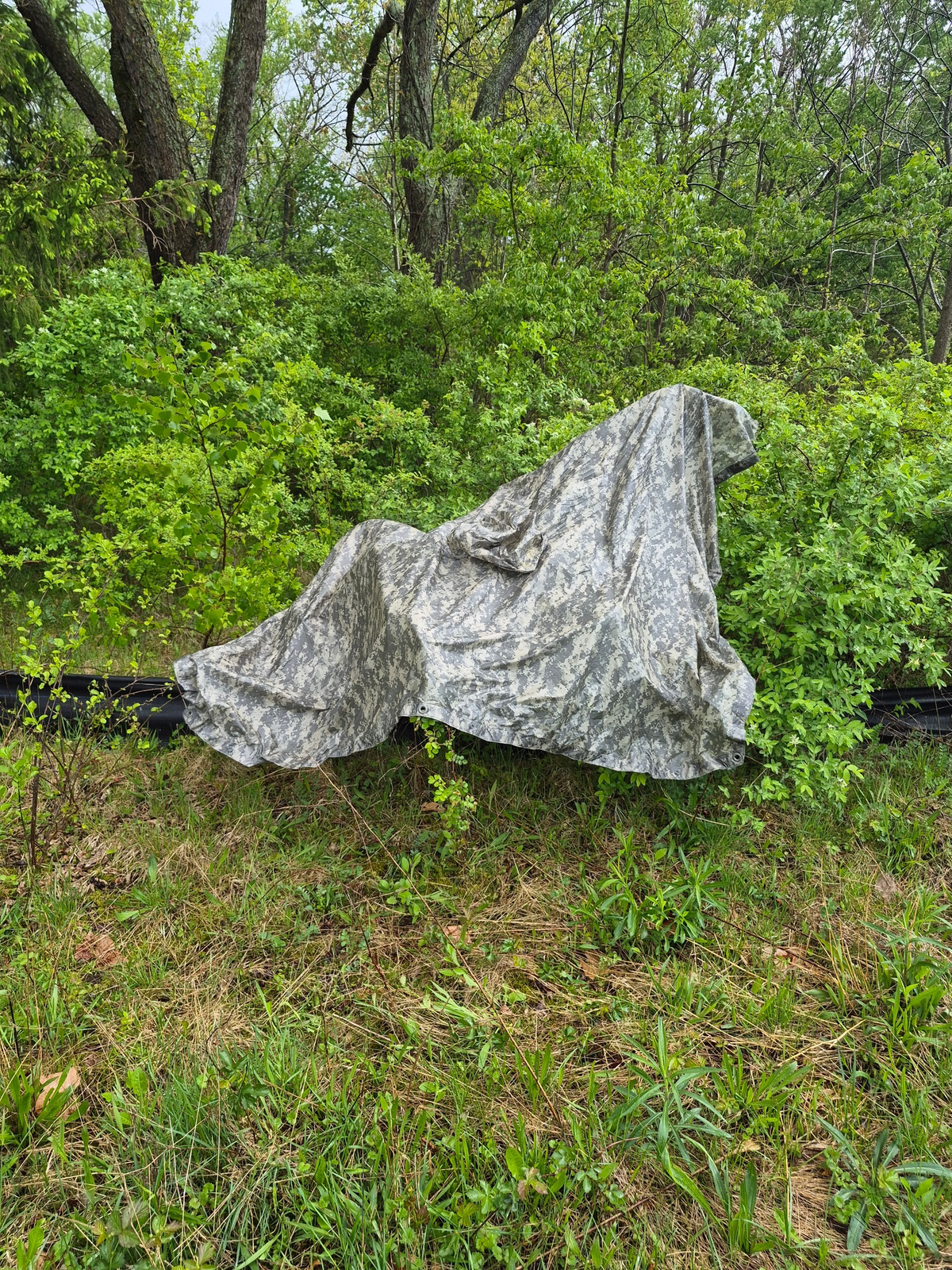 Genuine USGI ACU/UCP Wet Weather Poncho – Tactical Rain Gear & Emergency Shelter - Michaela's Outdoors
